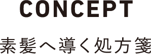CONCEPT 素髪へ導く処方箋