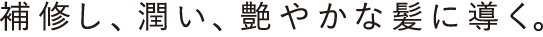 補修し、潤い、艶やかな髪に導く。