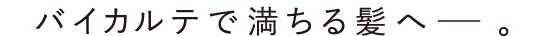 バイカルテで満ちる髪へ―。