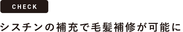 シスチンの補充で毛髪補修が可能に