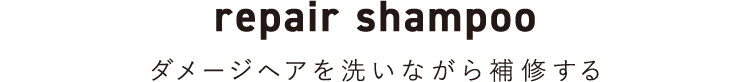 repair shampoo