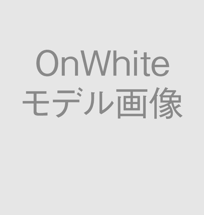 モデル画像