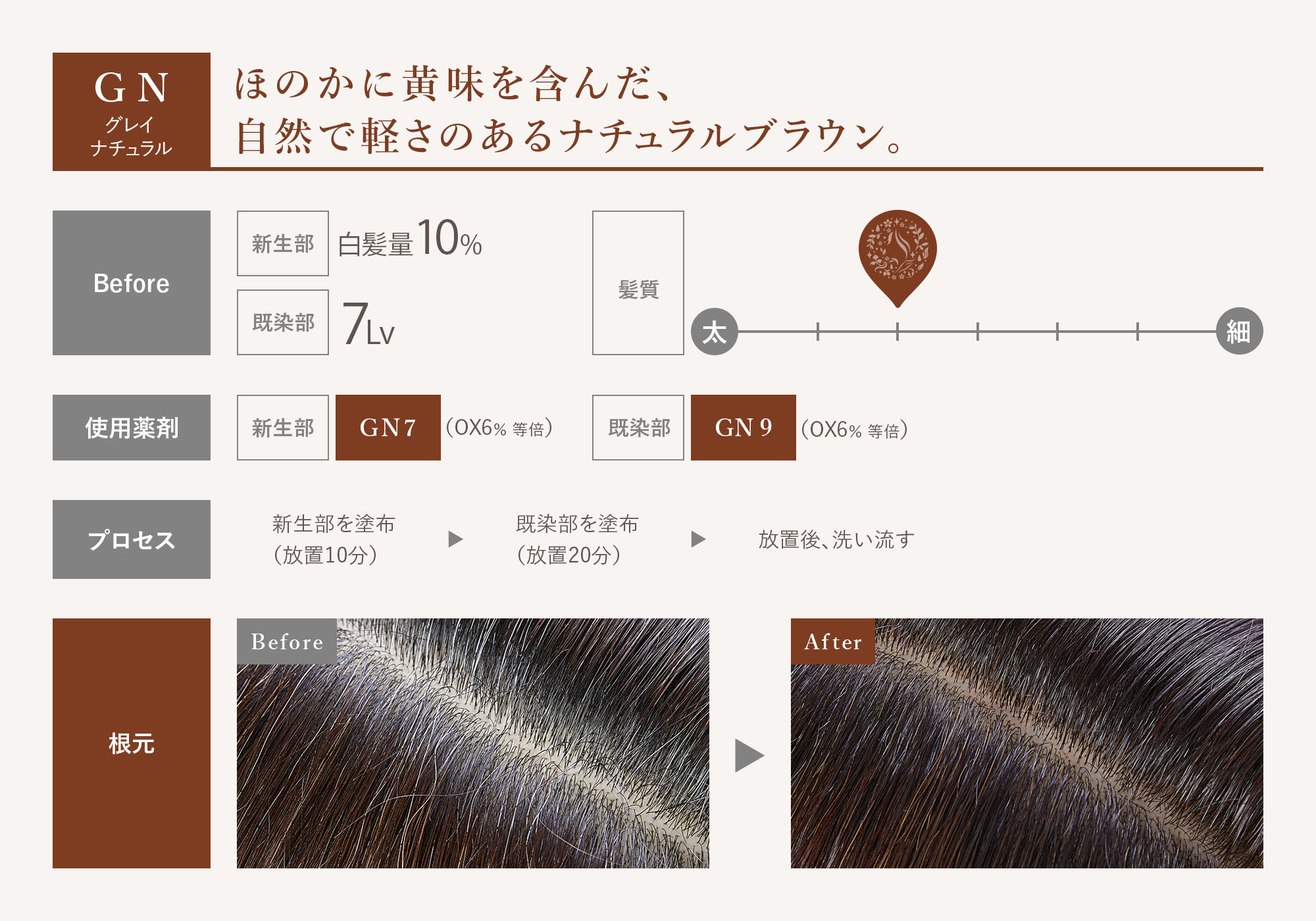 GN グレイナチュラル ほのかに黄味を含んだ、自然で軽さのあるナチュラルブラウン。