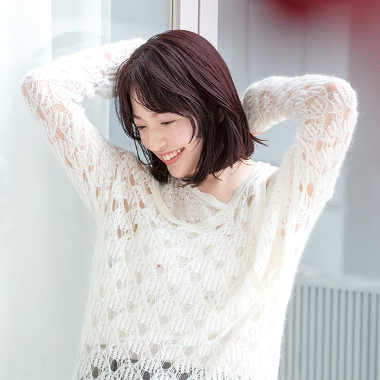 イメージ写真:ダスティプラム