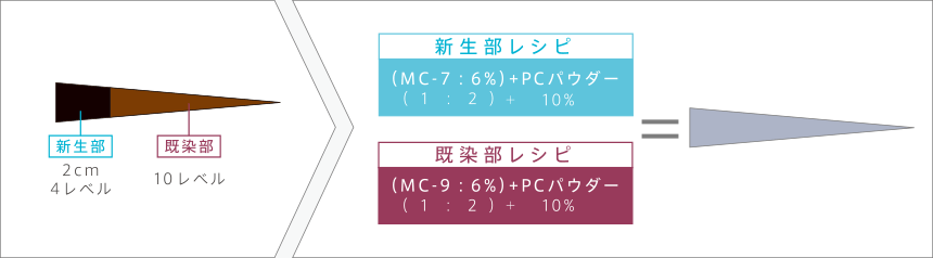 根元2cm伸び、既染部が10レベルの状態を9レベルのモノクロームへ