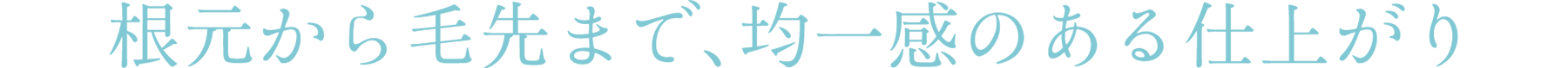 根元から毛先まで、均一感のある仕上がり
