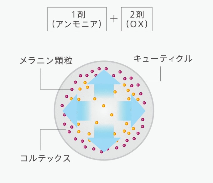従来品2剤式ヘアカラー イメージ