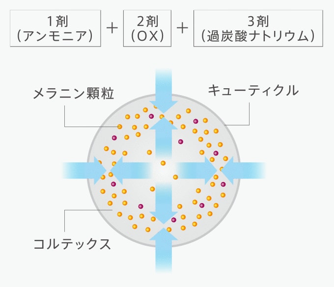 プロマスター アプリエシリーズ