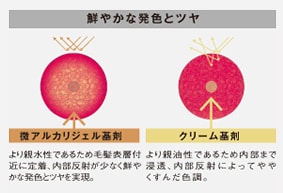 ダメージレス&コンビニエンス