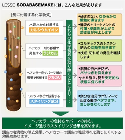 LESSE DABSEMAKEにはこんな効果があります